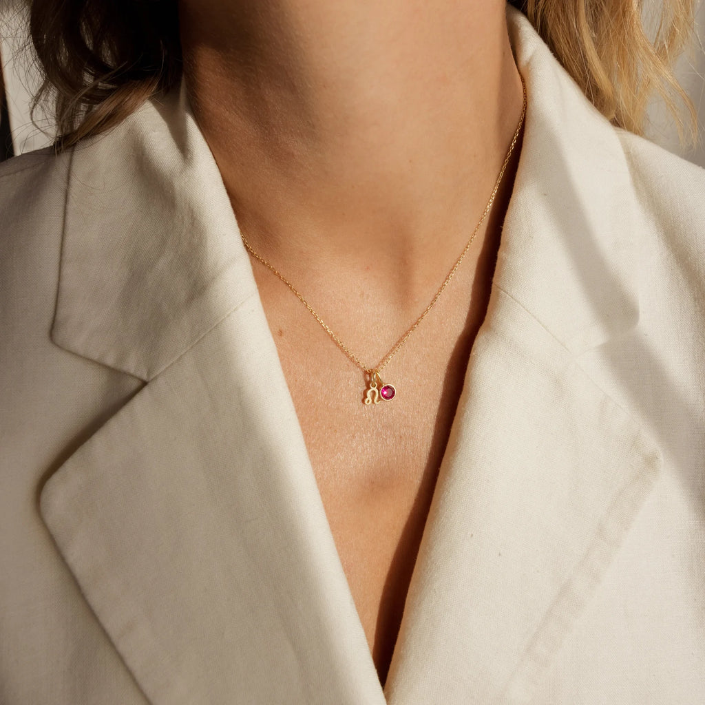 Zodiac Birthstone Necklace